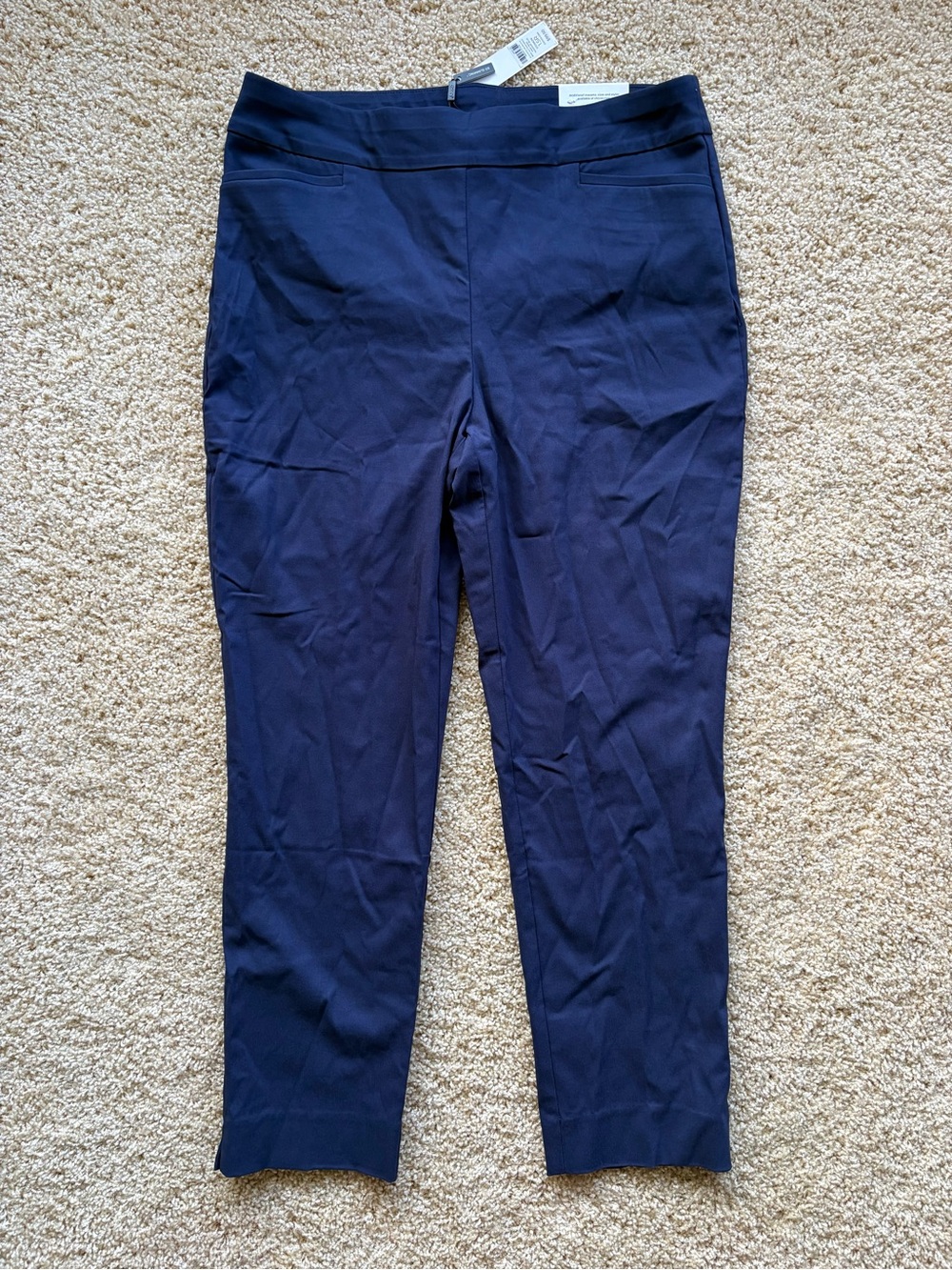 Chico’s So Slimming Brigitte Slim Leg Ankle Pants Size 1.5 / US 10 Passport Blue